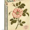 Artisan Puzzles: John Derian - Garden Rose (1000)