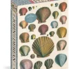 Artisan Puzzles: John Derian - Shells (1000)