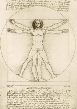 Bluebird Puzzle: Da Vinci - The Vitruvian Man, 1490 (1000)