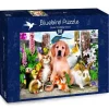Bluebird Puzzle: Good Companions (500)