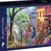 Bluebird Puzzle: Spring Hill (1000)