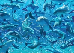 Cheatwell: Double Trouble - Dolphins (500)