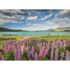Clementoni: Lupins at Lake Tekapo (1500)