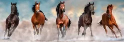 Clementoni: Panorama - Horses (1000)