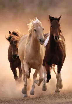 Clementoni: Running Horses (1000)