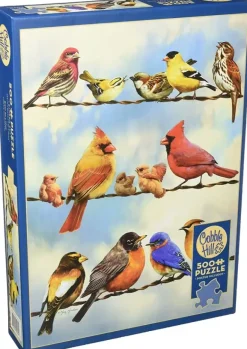 Cobble Hill: Birds on a Wire (500)