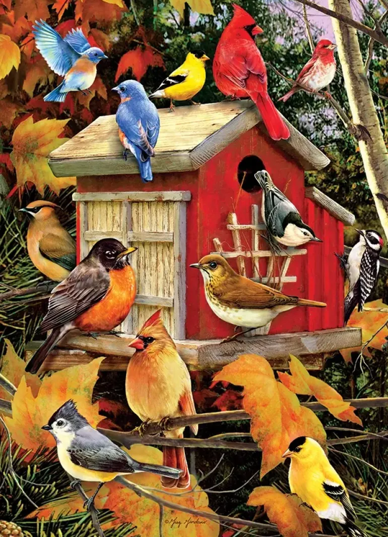 Cobble Hill: Fall Birdhouse (500)