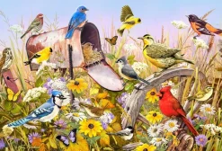 Cobble Hill: Field Song (2000)
