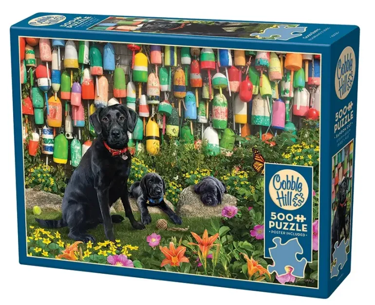 Cobble Hill: Good Buoys (500)