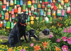 Cobble Hill: Good Buoys (500)