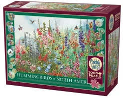 Cobble Hill: Hummingbirds of North America (2000)