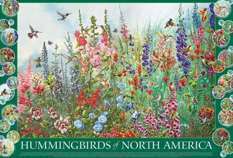 Cobble Hill: Hummingbirds of North America (2000)