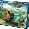 Cobble Hill: Let's Go Fishing (500)