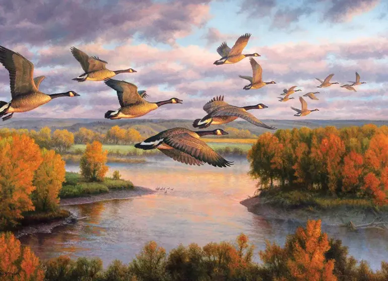 Cobble Hill: Migration (1000)