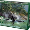 Cobble Hill: Orcas (1000)