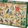 Cobble Hill: Popular Backyard Wild Birds of North America (1000)