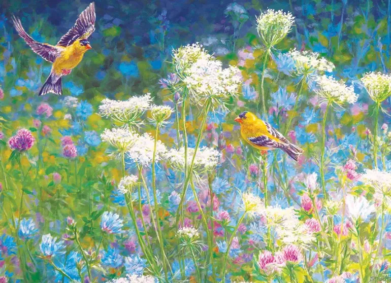 Cobble Hill: Visiting the Meadow (1000)