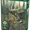 Cobble Hill: White-Tailed Deer (1000)