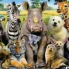 Educa: It's a Class Photo (1000)