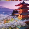 Educa: Mount Fuji, Japan (2000)