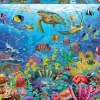 Educa: Tropical Fantasy Turtles (1000)