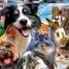 Educa: Yard Buddies Selfie (500)