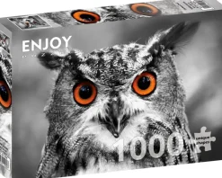 Enjoy: Curious Owl (1000)