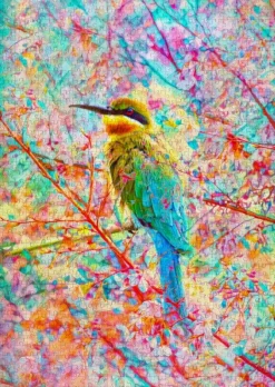 Enjoy: Happy Bird (1000)