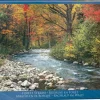 EuroGraphics: Forest Stream (1000)