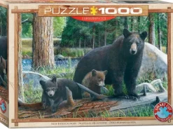 EuroGraphics: New Discoveries (1000)