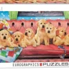 EuroGraphics: Panorama - Lounging Labs (1000)