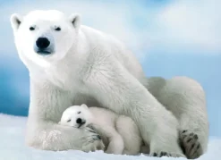 EuroGraphics: Polar Bear and Baby (1000)