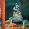 EuroGraphics: Red-Eyed Tree Frog (1000)