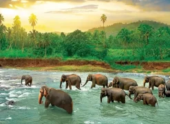 EuroGraphics: Save Our Planet Collection - Rain Forest (1000)