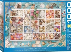 EuroGraphics: Seashell Collection (1000)