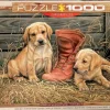 EuroGraphics: Something Old, Something New (1000)