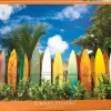 EuroGraphics: Surfer's Paradise Hawaii, USA (1000)