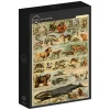 Grafika: Larousse - Mammals II (1000)