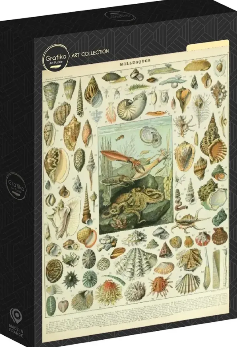Grafika: Nouveau Larousse - Molluscs (1000)