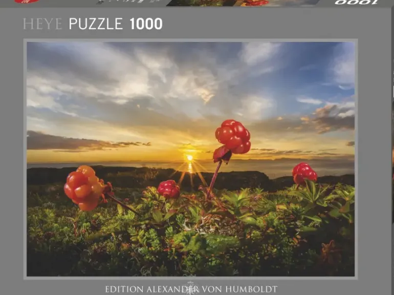 Heye: Humboldt - Cloudberries (1000)