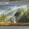 Heye: Panorama - Humboldt, Morning Salute (1000)