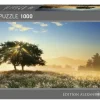 Heye: Panorama - Humboldt, Play of Light (1000)