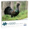Peliko: Tjäder (1000)