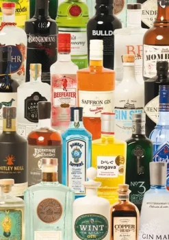 Piatnik: Taste of Gin (1000)