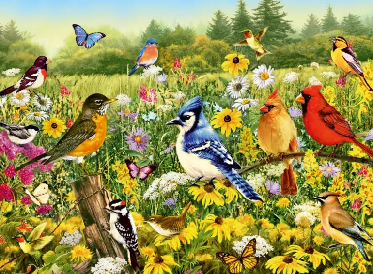 Ravensburger: Birds in the Meadow (500)