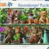 Ravensburger: Cats on the Shelf (500)