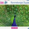Ravensburger: Colorful Animals - Peacock (500)