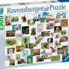 Ravensburger: Funny Animals Collage (1500)
