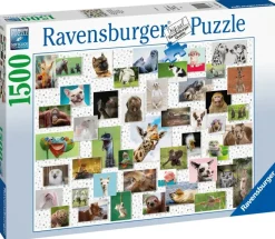 Ravensburger: Funny Animals Collage (1500)