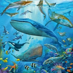 Ravensburger: Ocean Life (3 x 49)